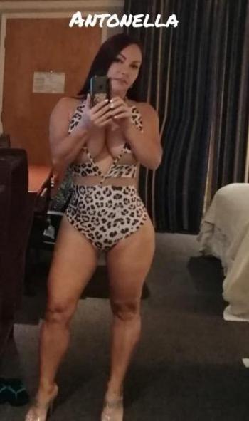 Antonella, 35  female escort, Orange County