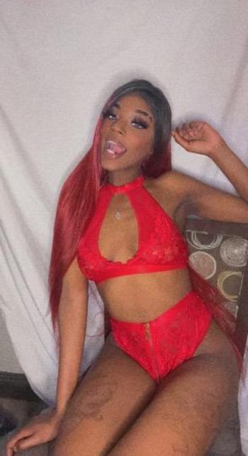 4423920205, female escort, Orange County